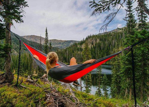 Taita Hills – Biodiversity Quest & Birding Safari