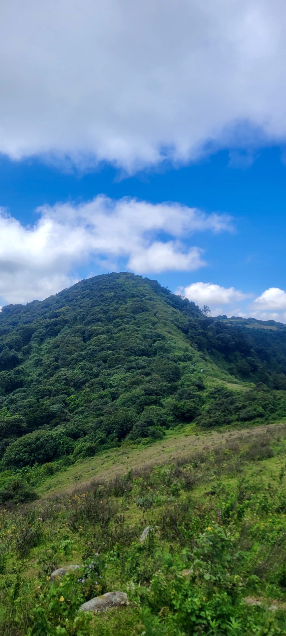 Ol Pejeta Conservancy – Rhino Sanctuary & Chimpanzee Refuge