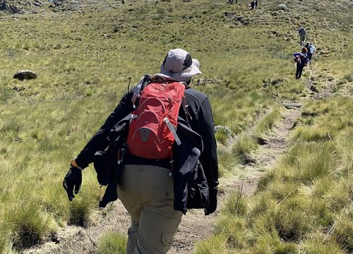 Mount Kenya – Alpine Trekking & VR Summit Challenge
