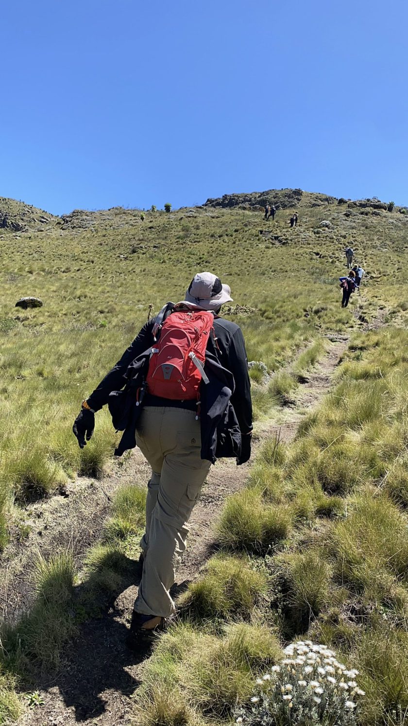 Nyambene Hills – Herbal Trails & Cultural Safari