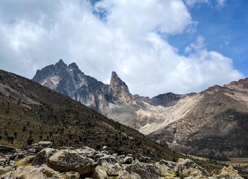 Amboseli National Park – Kilimanjaro Views & Elephant Herds
