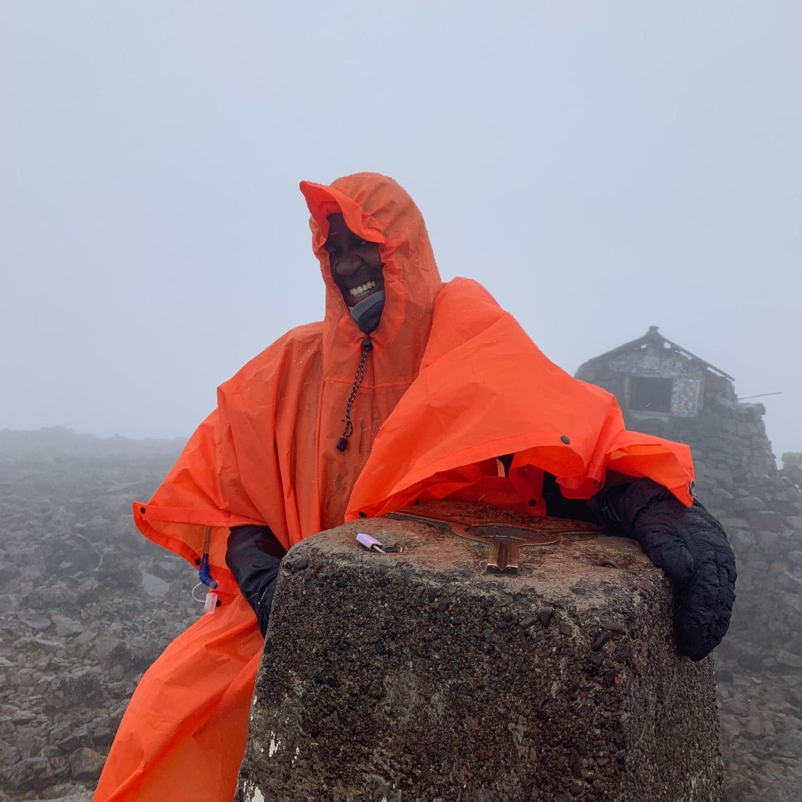 Immersion Experiences