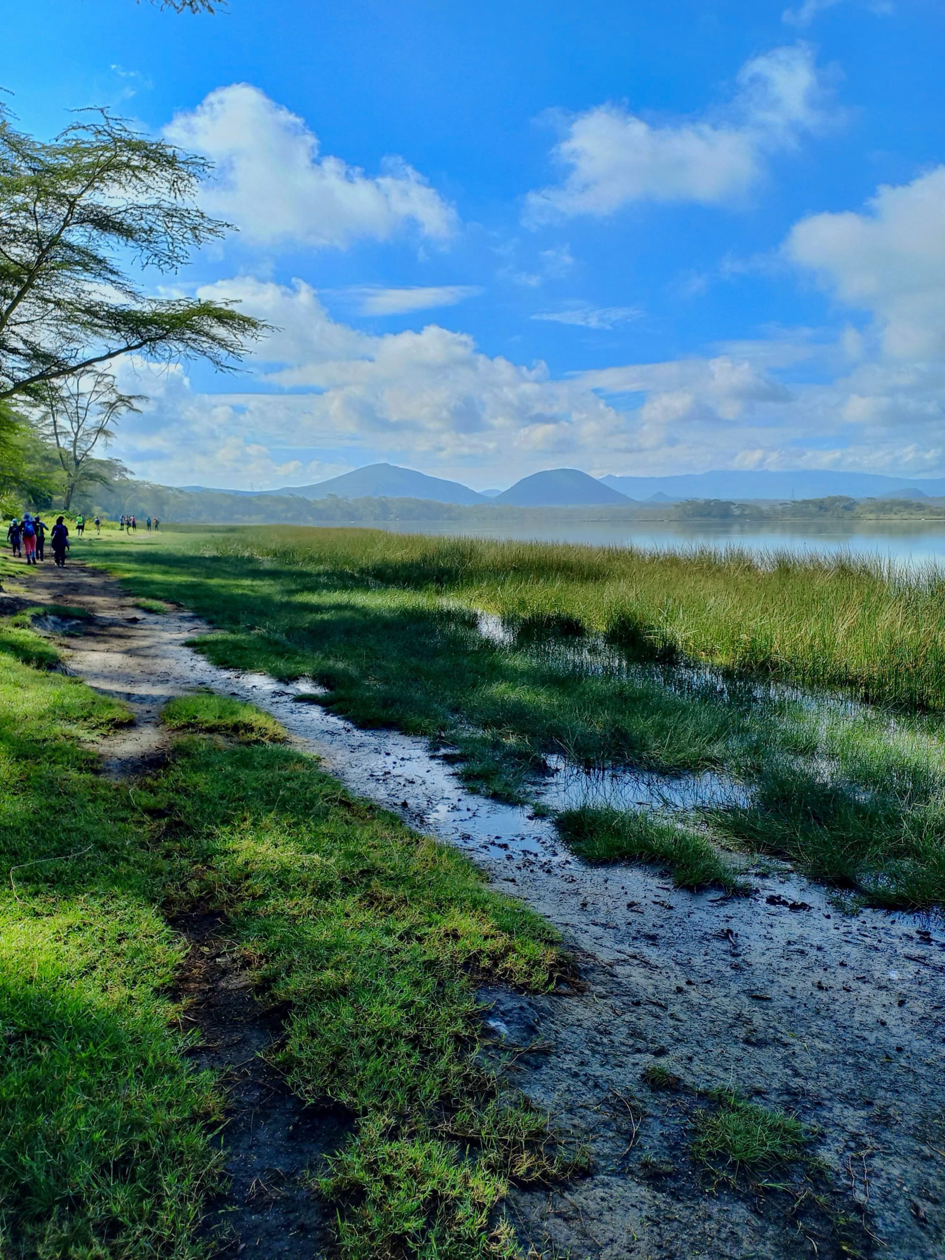 Eco-Conservation Tours